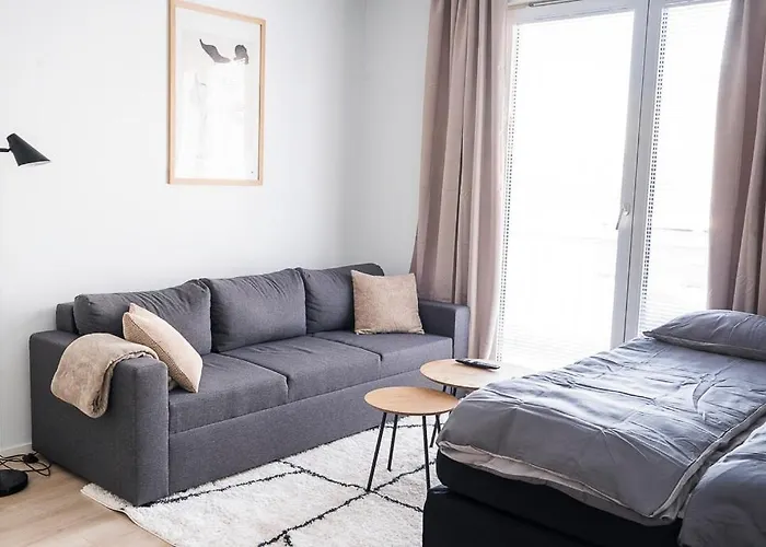 Apartment Bright In Center